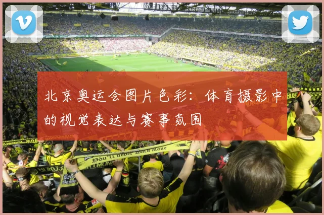 北京奥运会图片色彩:体育摄影中的视觉表达与赛事氛围